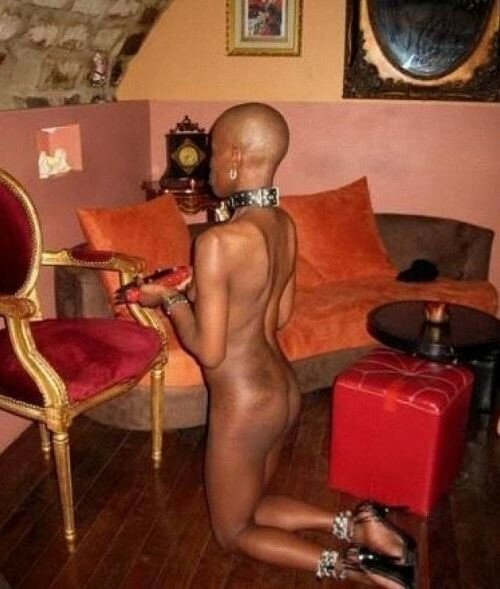 Negro Slave Porn - Ebony-bald-negro-slave-slavegirl-01 - Meat Barn Club